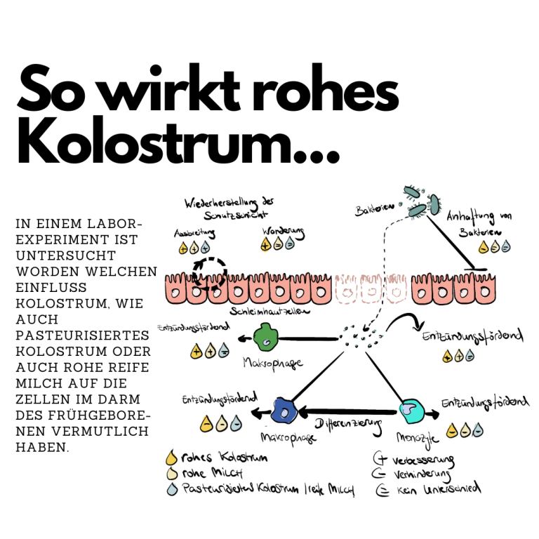 So wirkt rohes Kolostrum