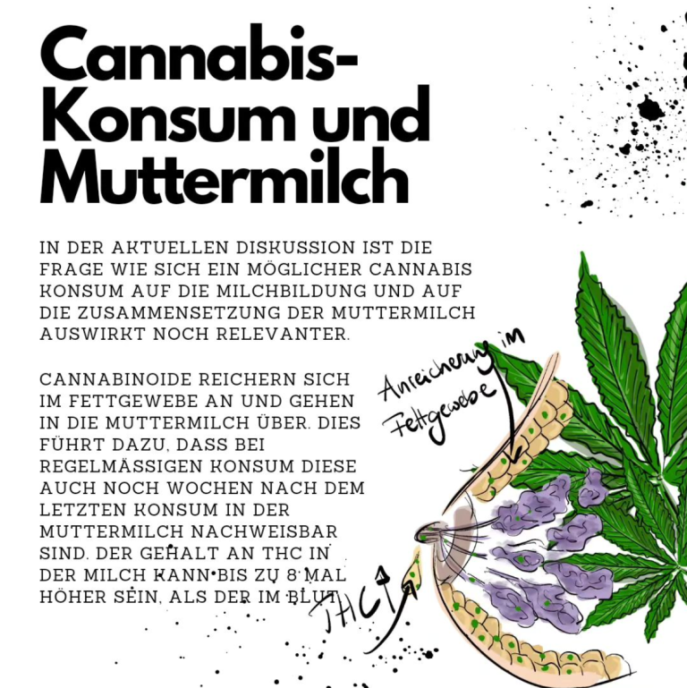 Cannabis-Konsum und Muttermilch